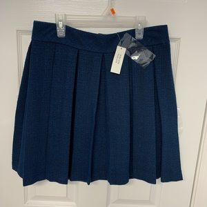 Navy blue Skirt